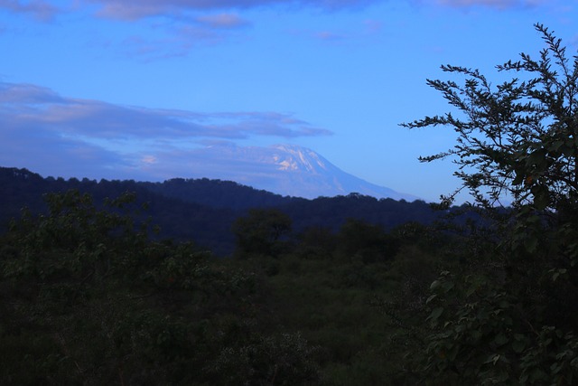 Arusha to Mikumi Safari